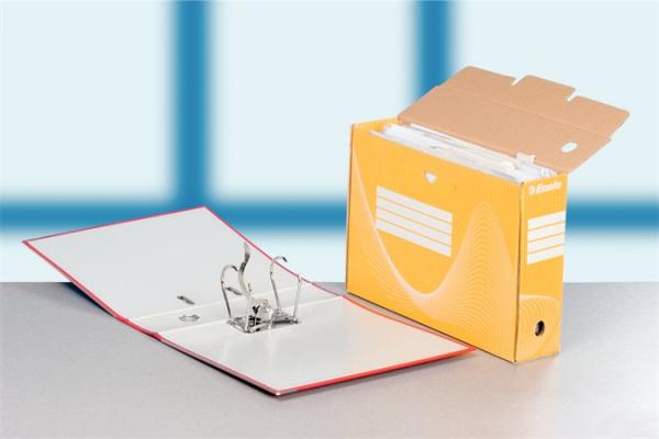 Archívny box, A4, 100 mm, kartón, ESSELTE "Boxycolor", žltý